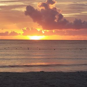 Meet your Posher, Annette